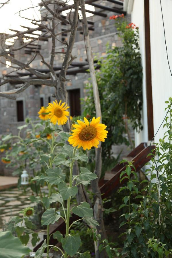 Akvaryum Hotel Tenedos Buitenkant foto